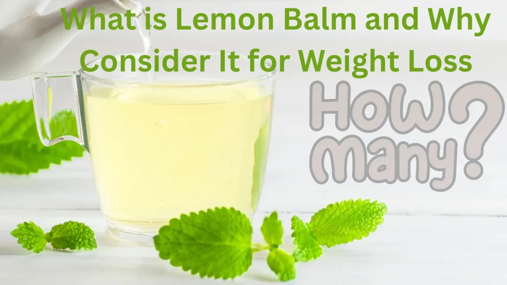 What is Lemon Balm and Why Consider It for Weight Loss?