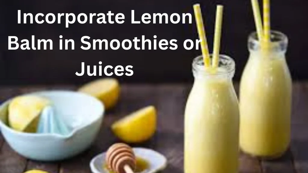 Incorporate Lemon Balm in Smoothies or Juices