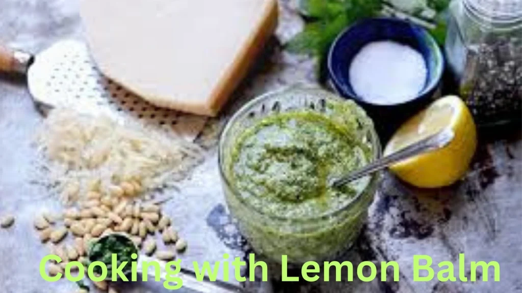 Cooking with Lemon Balm