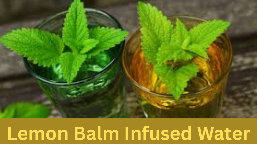 Lemon Balm Infused Water