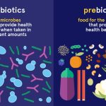What are Prebiotics And Probiotics?