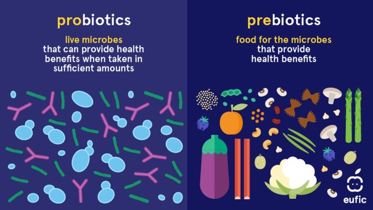 What are Prebiotics And Probiotics?
